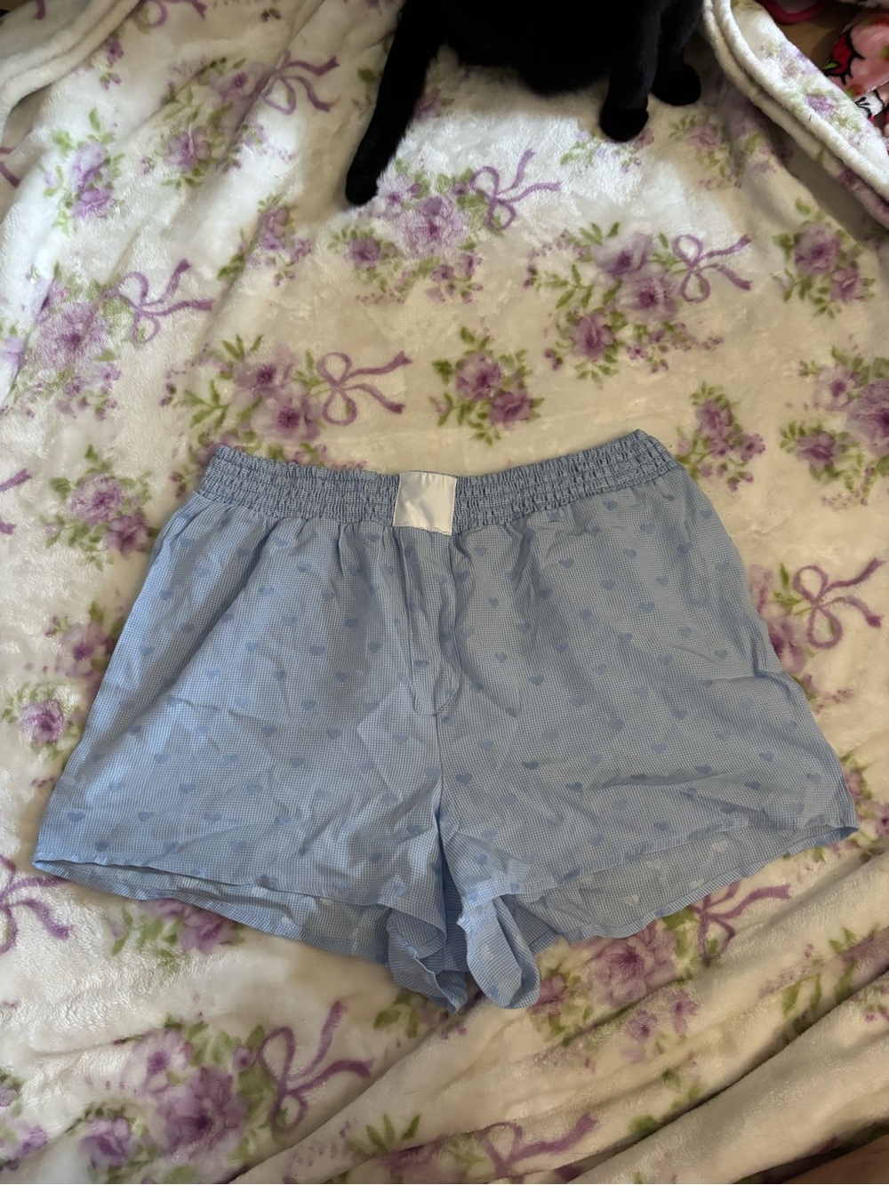 shosho Light Blue Athletic Lounge Shorts